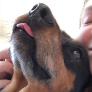 Meet your Posher, Carly